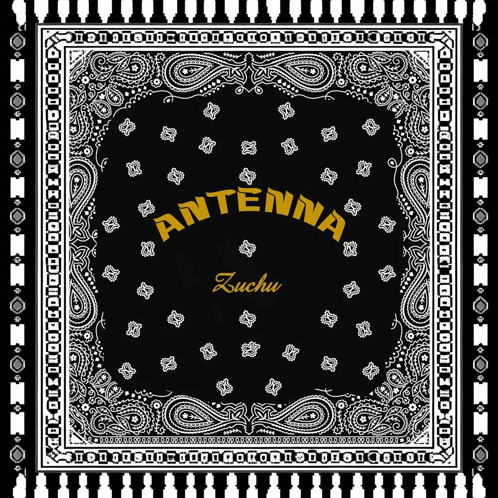 Antenna - Zuchu