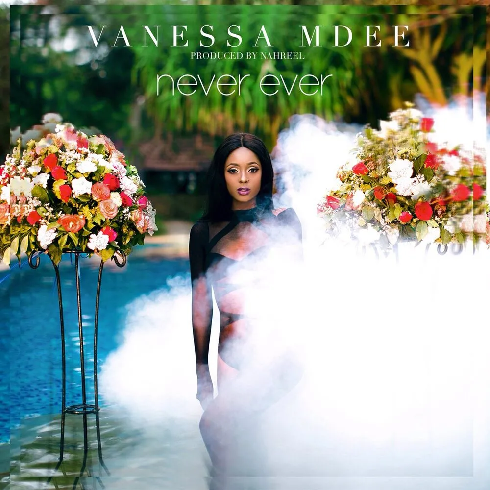 Never Ever - Vanessa Mdee