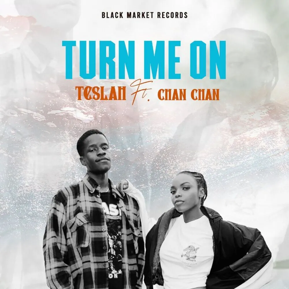 Turn Me On - Teslah (feat. Chan Chan)