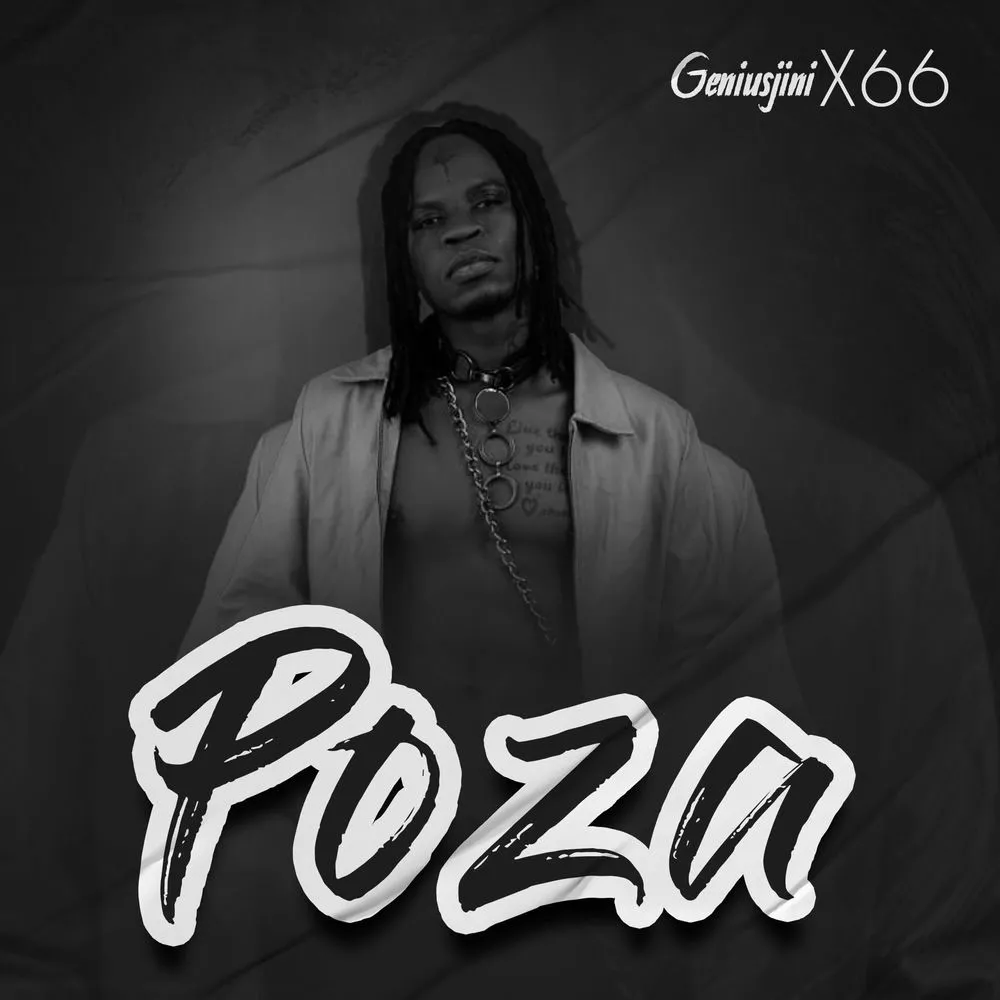 Poza - Genius Jini X66