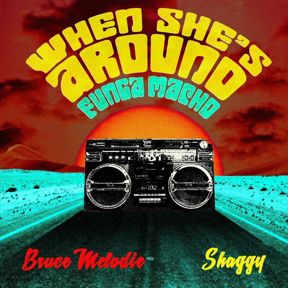 When She's Around (Funga Macho) - Bruce Melodie (feat. Shaggy)
