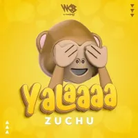 Yalaaaa - Zuchu