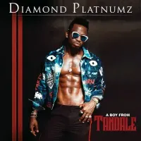 Pamela - Diamond Platnumz