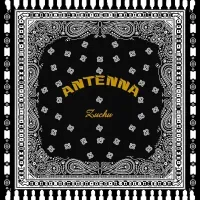 Antenna - Zuchu