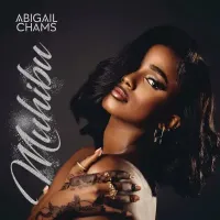 Muhibu - Abigail Chams