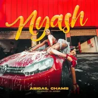 Nyash - Abigail Chams (feat. S2Kizzy, DJ Joozey)