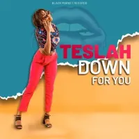 Down For You - Teslah