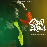Slow Down - Teslah