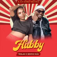 Hubby - Teslah (feat. Ndovu Kuu)