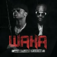 Waka - Diamond Platnumz (feat. Rick Ross)