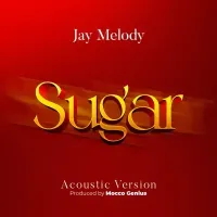 Sugar (Acoustic Version) - Jay Melody