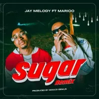 Sugar (Remix) - Jay Melody (feat. Marioo)