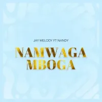 Namwaga Mboga - Jay Melody (feat. Nandy)