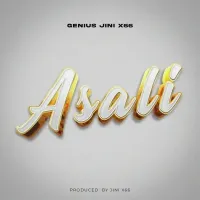 Asali - Genius Jini X66