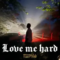 Love Me Hard - Bruce Melodie