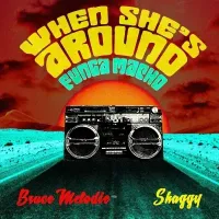 When She's Around (Funga Macho) - Bruce Melodie (feat. Shaggy)