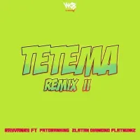 Tetema (Remix) - Rayvanny (feat. Diamond Platnumz, Zlatan, Patoranking)