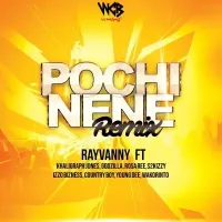Pochi Nene (Remix) - Rayvanny (feat. S2Kizzy, Khaligraph Jones, Benedict Wakorintho, Young Dee, Country Boy, Izzo Bizness, Godzilla, Rosa Ree)