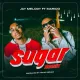 Sugar (Remix)